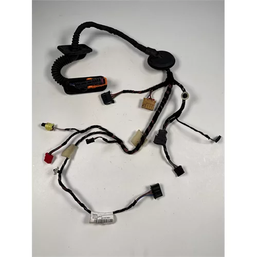 Svazek elektrické instalace dveří, 6V0 971 120 AH