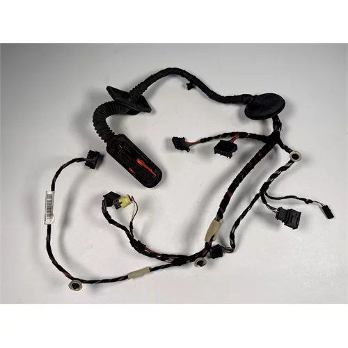 Svazek elektrické instalace dveří, 6V0 971 120 C