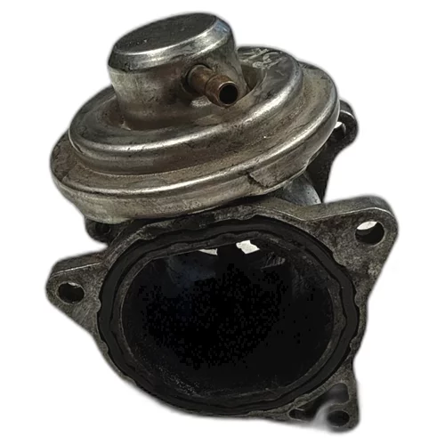 EGR ventil 038 131 501 AF