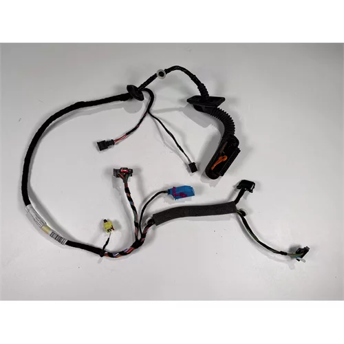 Svazek elektrické instalace dveří, 5L0 971 121 FH