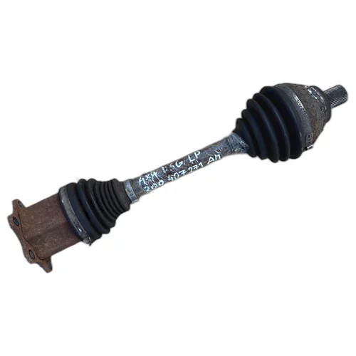 Poloosa levá, 3Q0 407 271 AM